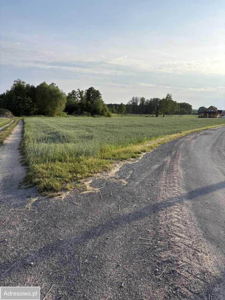 Działka siedliskowa Parole, ul. Kuropiecka. Zdjęcie 2