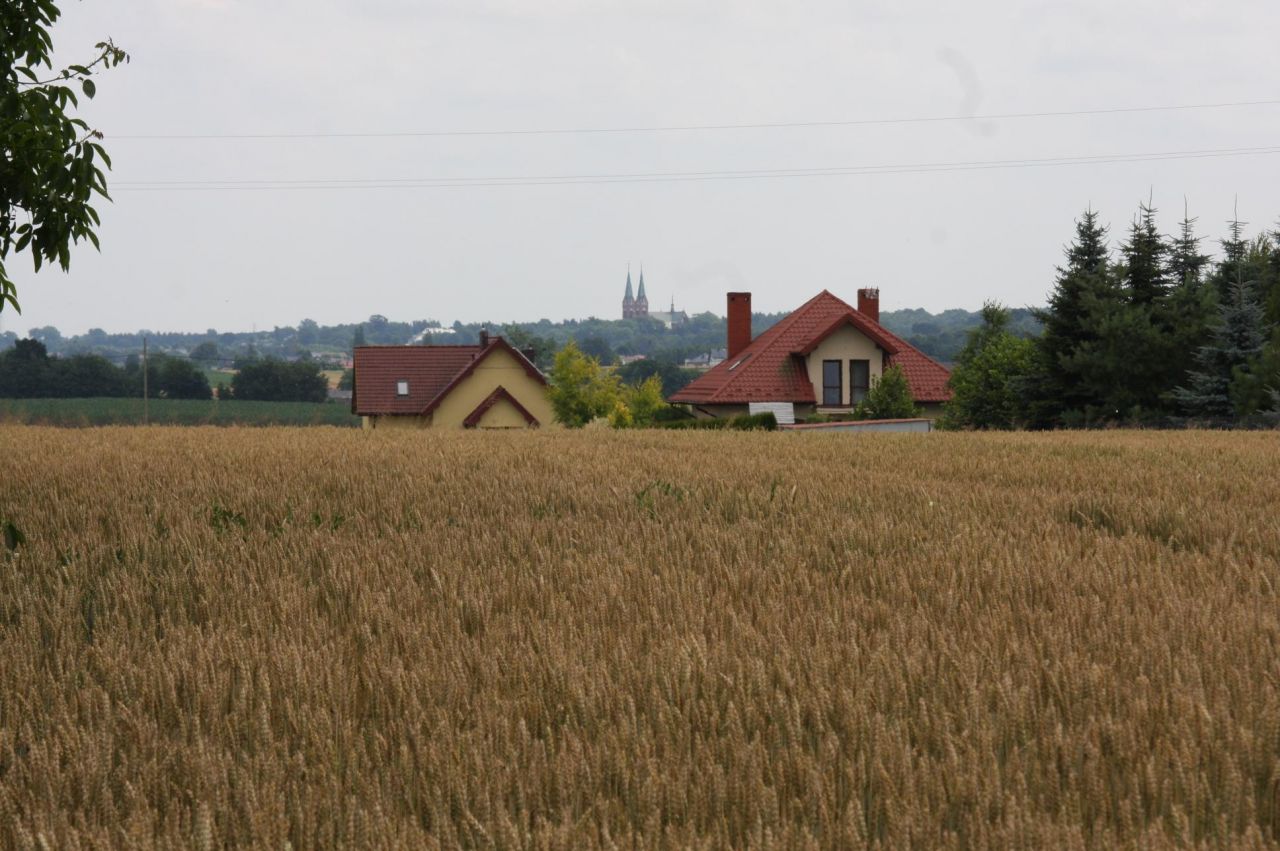 Działka budowlana Zagrody, ul. Cisowa. Zdjęcie 5