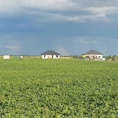 Działka rekreacyjna Powidz, ul. Wybudowanie. Zdjęcie 1