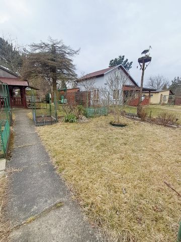 Działka rekreacyjna Szałe. Zdjęcie 5