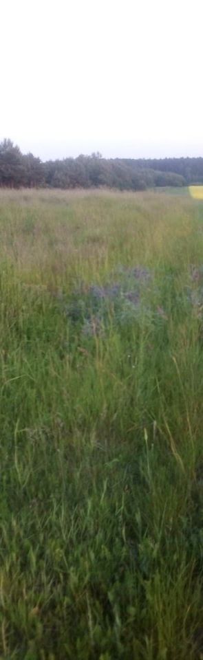 dom wolnostojący Potok. Zdjęcie 3