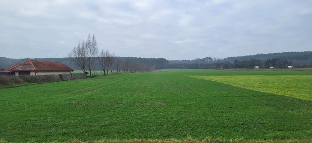 Działka rolno-budowlana Trzebania. Zdjęcie 1