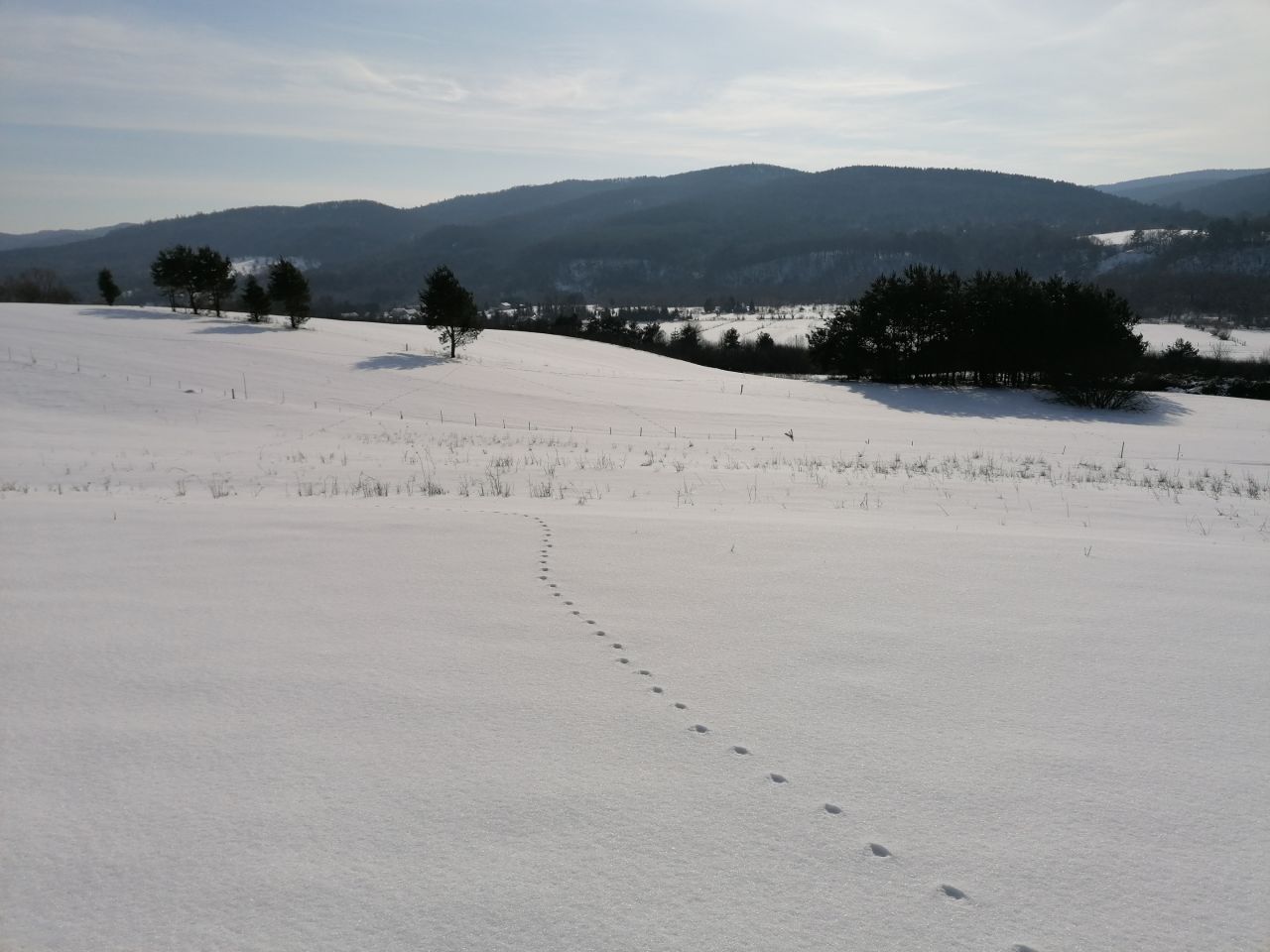 Działka rekreacyjna Rybotycze. Zdjęcie 8