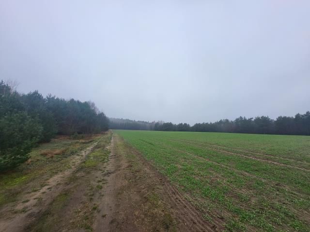 Działka rekreacyjna Nowe Miasto. Zdjęcie 7