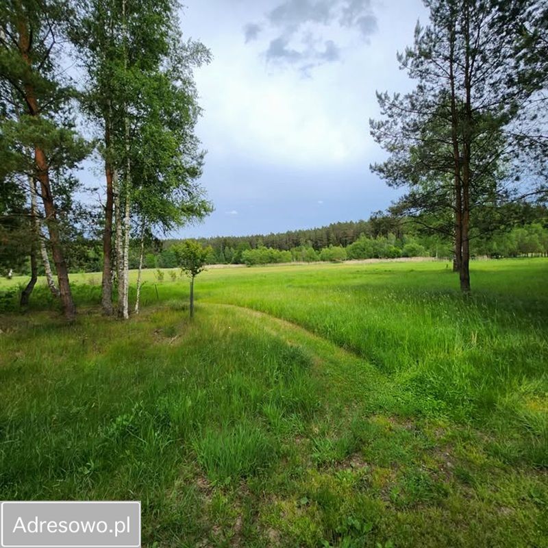 Działka siedliskowa Lipowy Most. Zdjęcie 8