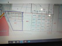 Działka rolna Kuriany. Zdjęcie 1