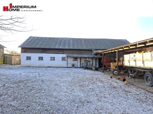 Działka rolna Janiewice. Zdjęcie 3