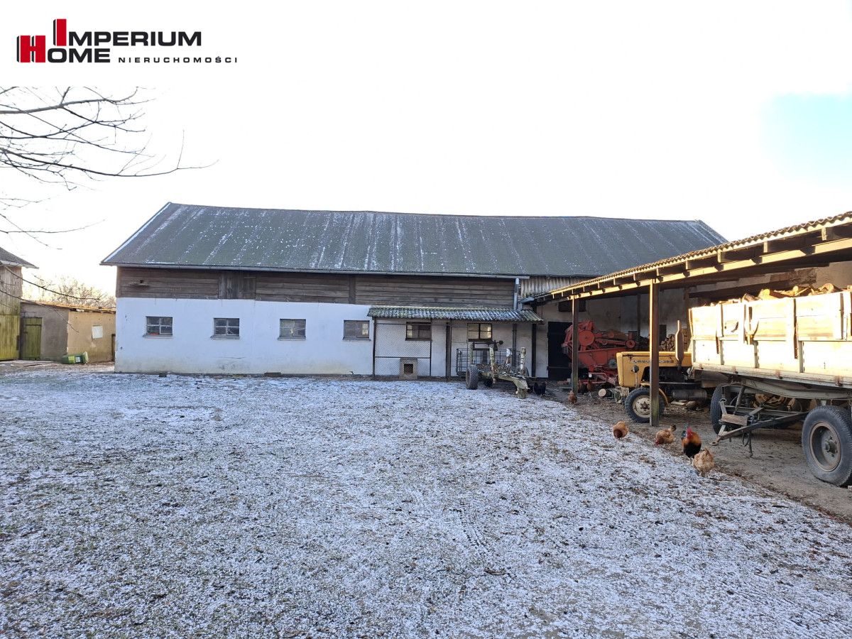 Działka rolna Janiewice. Zdjęcie 3