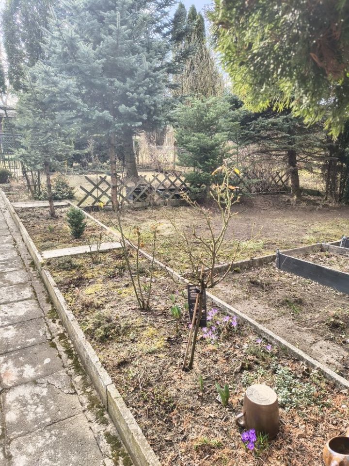 Działka rod Sosnowiec Środula. Zdjęcie 7