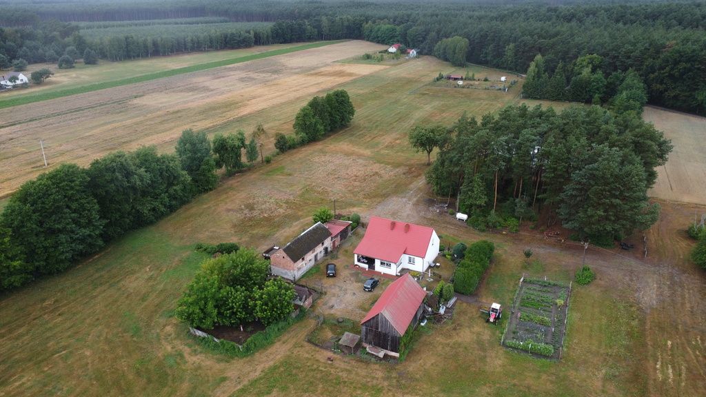 Działka siedliskowa Chojno-Błota Małe. Zdjęcie 21