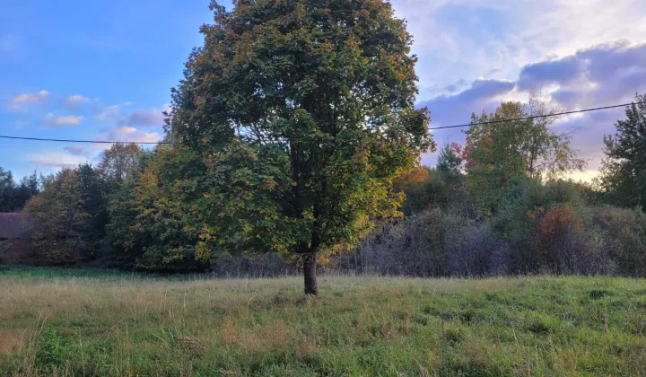 Działka budowlana Spręcowo, Spręcowo Kolonia