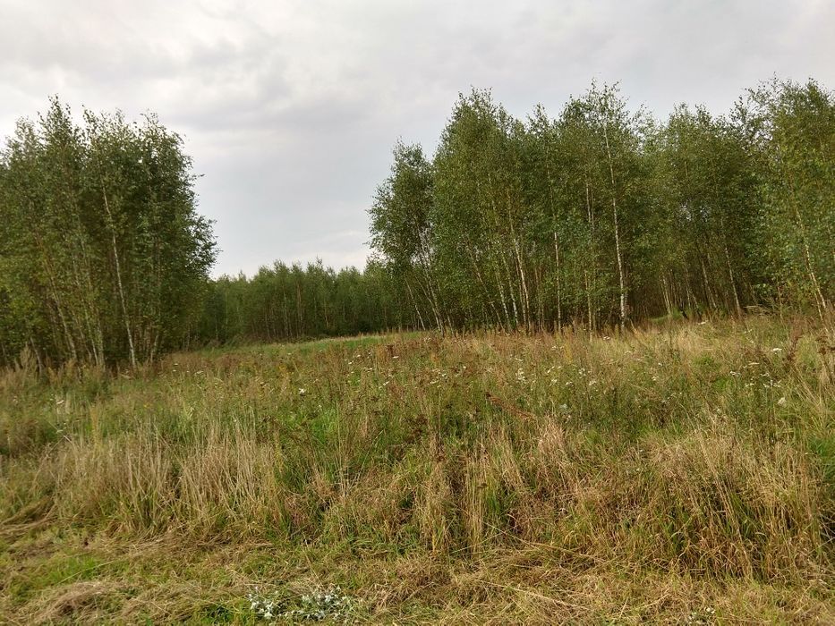 Działka rolna Chełmżyca. Zdjęcie 2