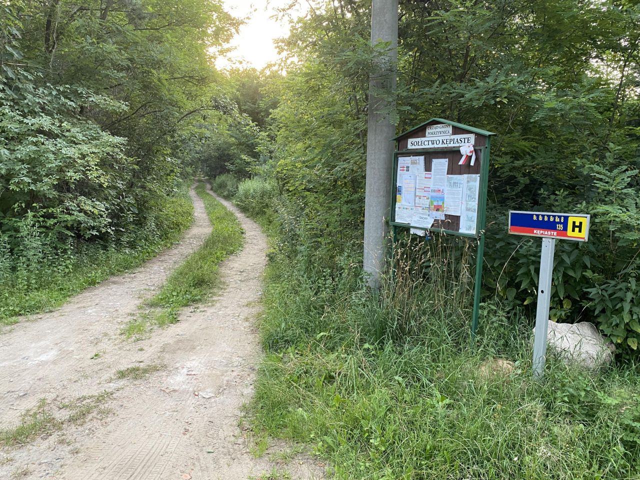 Działka rekreacyjna Kępiaste. Zdjęcie 7