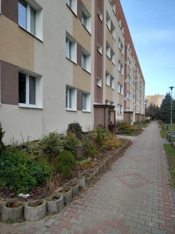 Mieszkanie 3-pokojowe Zamość, ul. Oboźna. Zdjęcie 1