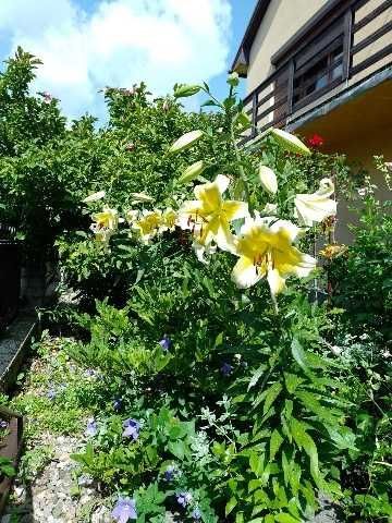 dom wolnostojący Słupca, ul. Zagłoby. Zdjęcie 2