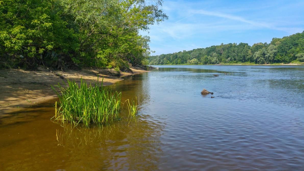 Działka rekreacyjna Sikory. Zdjęcie 12