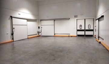 Hala/magazyn Krapkowice