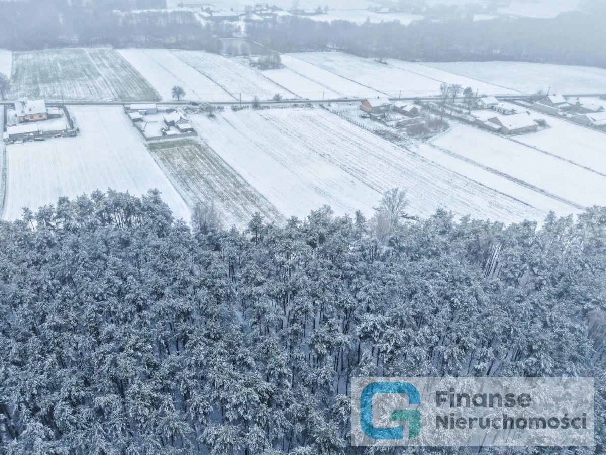Działka budowlana Kochanów. Zdjęcie 9