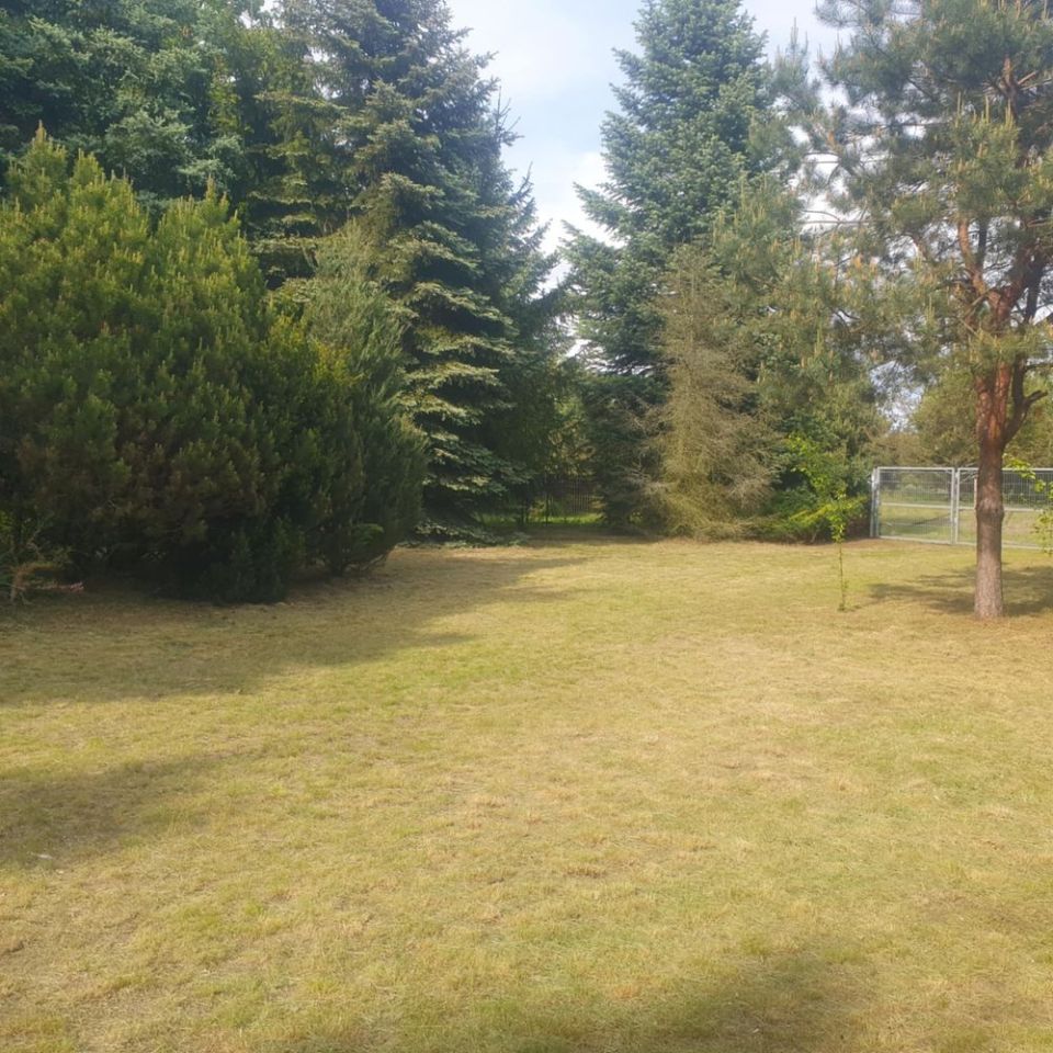 dom letniskowy Orłowo. Zdjęcie 5