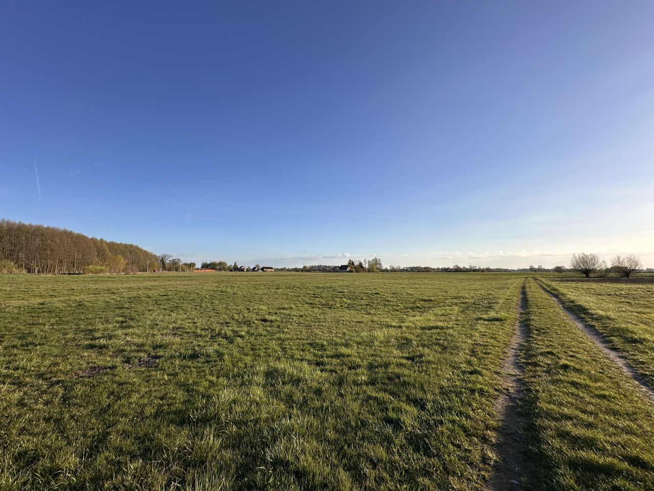 Działka budowlana Gościmiec. Zdjęcie 9