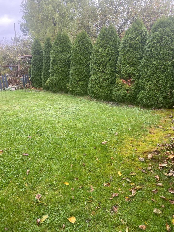 Działka rod Ziemięcice. Zdjęcie 4
