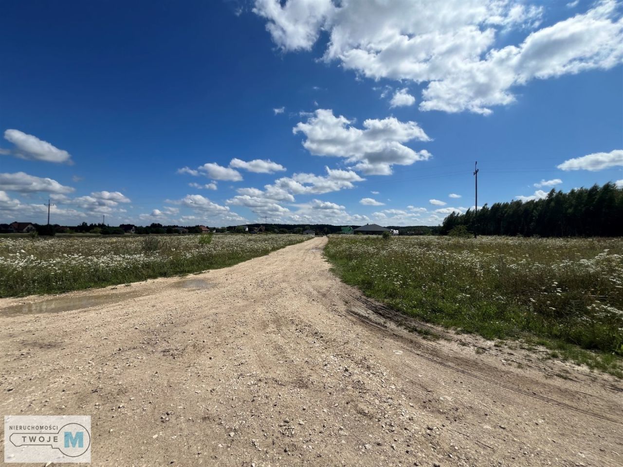 Działka rolna Śladków Mały. Zdjęcie 3