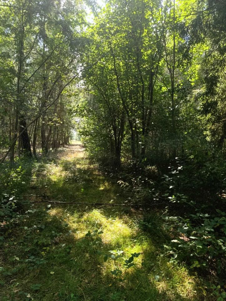 Działka rolno-budowlana Siedlików. Zdjęcie 8