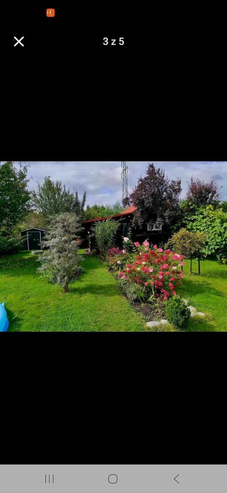 Działka rod Nowa Dęba. Zdjęcie 5