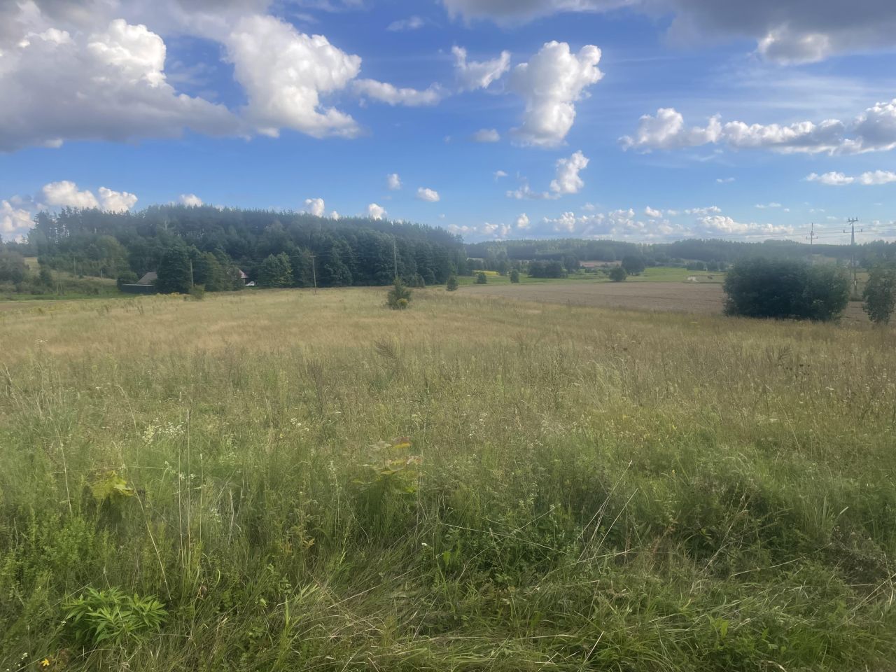 Działka rolno-budowlana Wysokie Laski, Wysokie laski. Zdjęcie 10