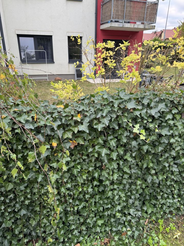 Mieszkanie 3-pokojowe Bielany Wrocławskie, ul. Ogrodowa. Zdjęcie 14