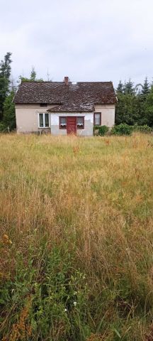 Działka siedliskowa Ługowice. Zdjęcie 1