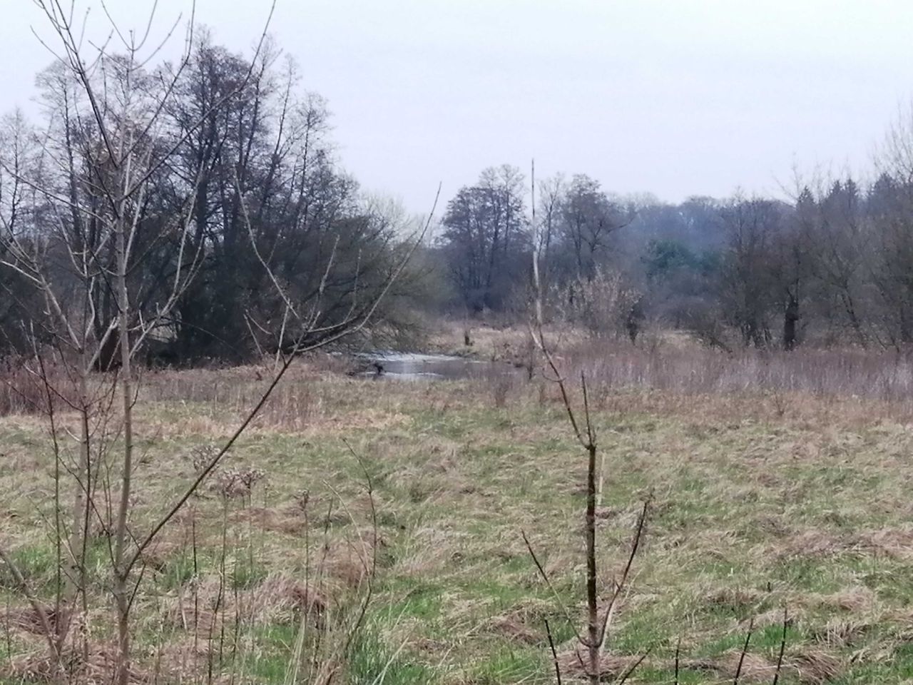 Działka rekreacyjna Siwianka. Zdjęcie 3