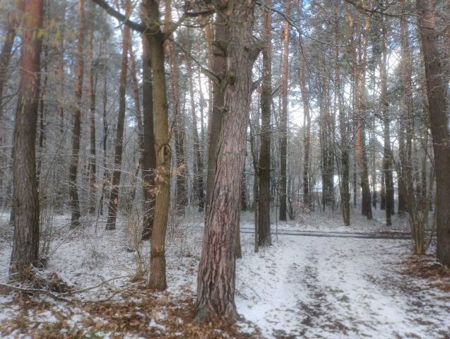 Działka leśna Skaryszew, ul. Podolszyny. Zdjęcie 1