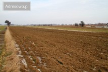 Działka rolno-budowlana Dobra-Nowiny, ul. Marii Piotrowiczowej. Zdjęcie 4