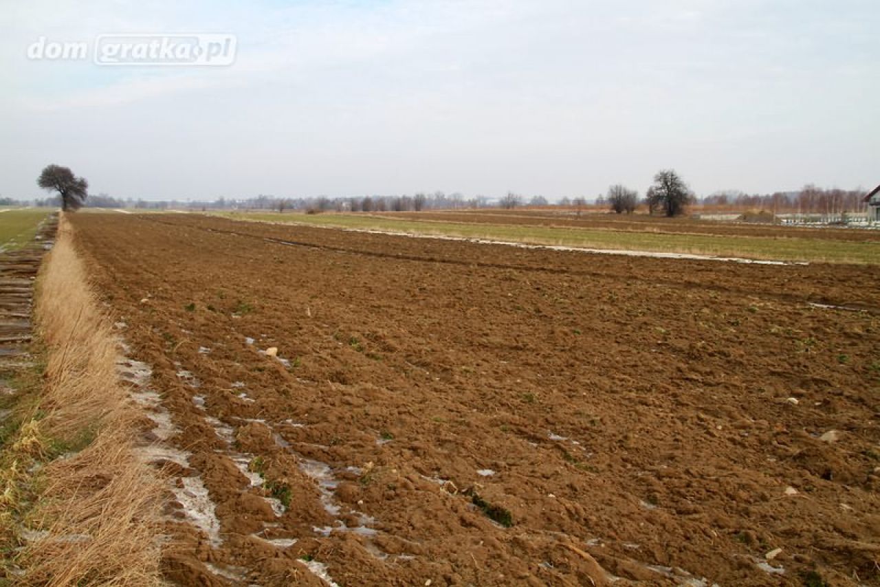 Działka rolno-budowlana Dobra-Nowiny, ul. Marii Piotrowiczowej. Zdjęcie 5