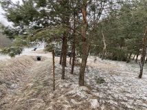 Działka budowlana Suków Papiernia. Zdjęcie 2