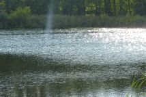 Działka rolna Zieleniewo. Zdjęcie 1