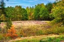 Działka budowlana Jeziórka. Zdjęcie 2