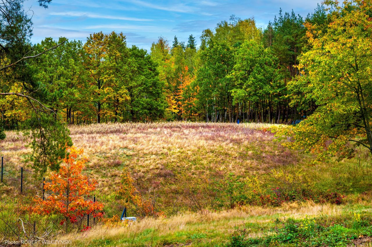 Działka budowlana Jeziórka. Zdjęcie 3