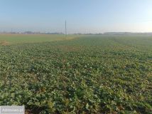 Działka rolna Mochle. Zdjęcie 2