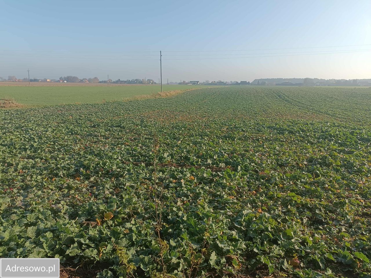 Działka rolna Mochle. Zdjęcie 3