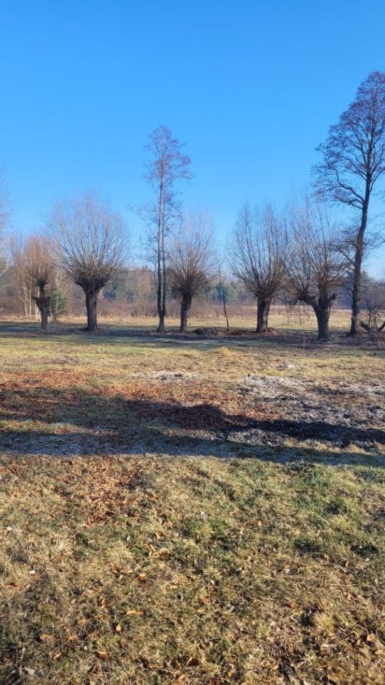 Działka budowlana Helenka. Zdjęcie 2