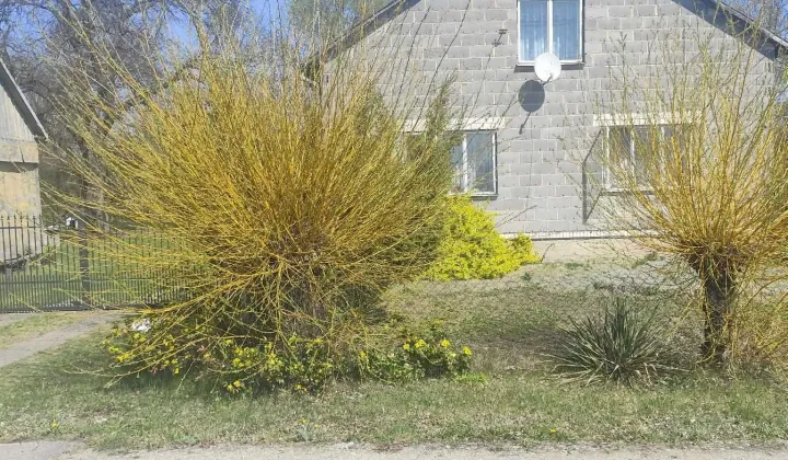 Działka siedliskowa Dobrzań