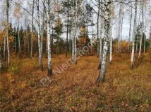 Działka budowlana Nowe Załubice, ul. Kościelna. Zdjęcie 4
