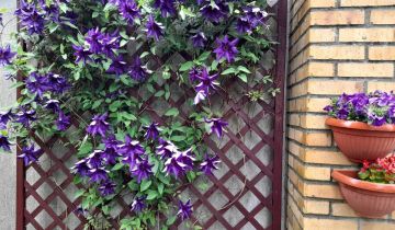 Działka rod Toruń Chełmińskie Przedmieście