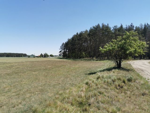 Działka rolna Święta. Zdjęcie 17