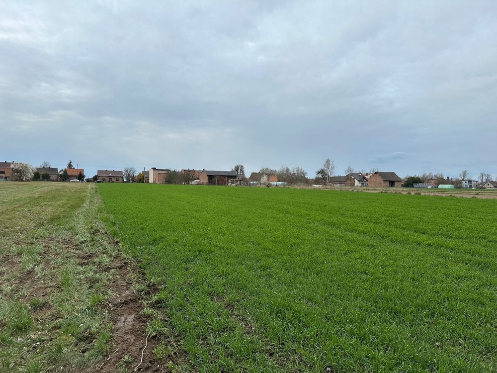 Działka rolno-budowlana Starokrzepice, ul. Oleska. Zdjęcie 5