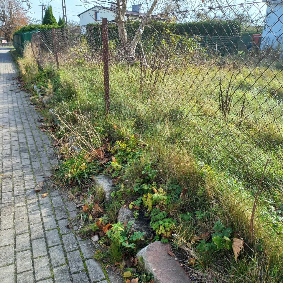 Działka budowlana Drzewiany. Zdjęcie 4