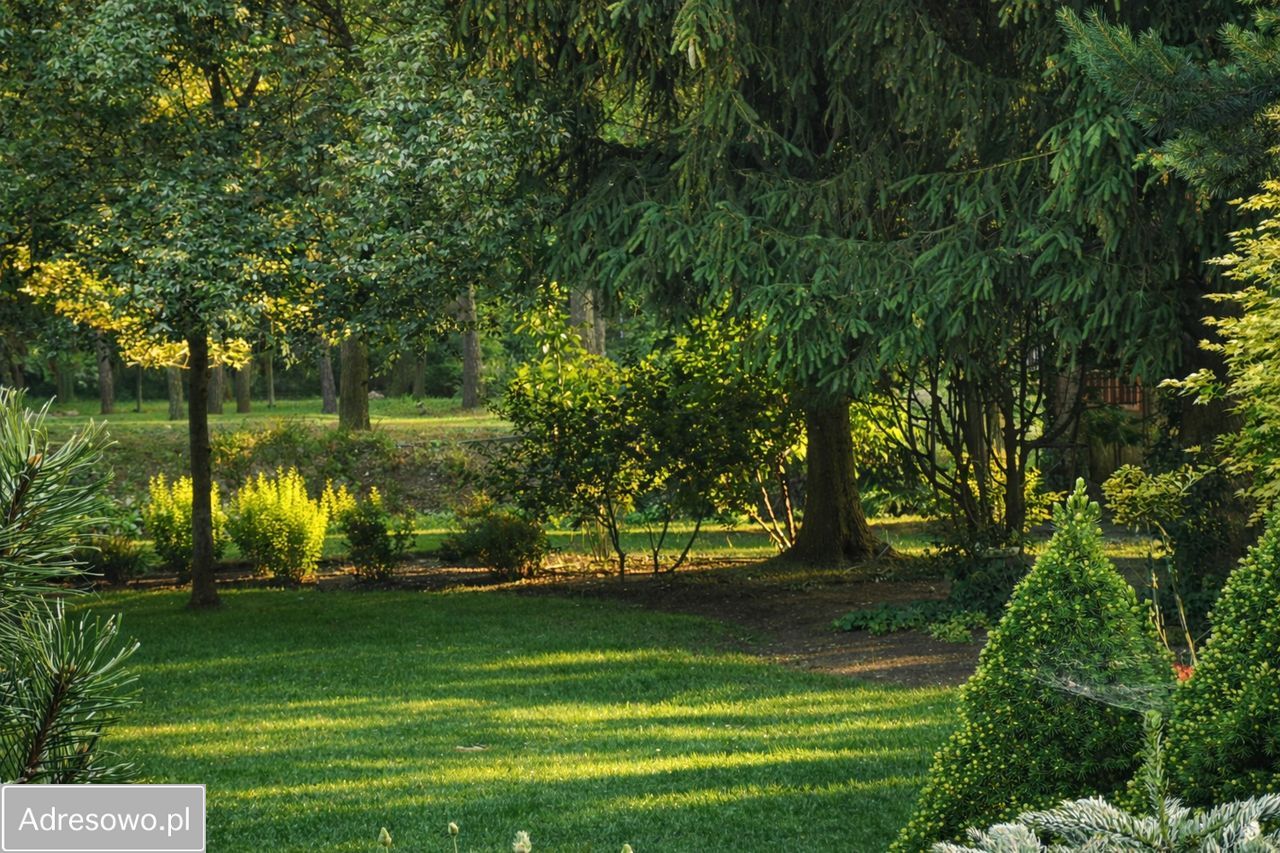 dom wolnostojący, 4 pokoje Bełchatów. Zdjęcie 4