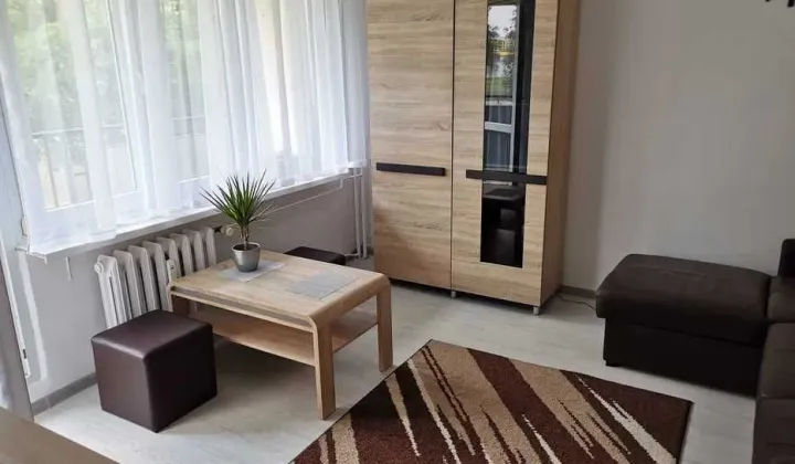 Mieszkanie 1-pokojowe Częstochowa Północ